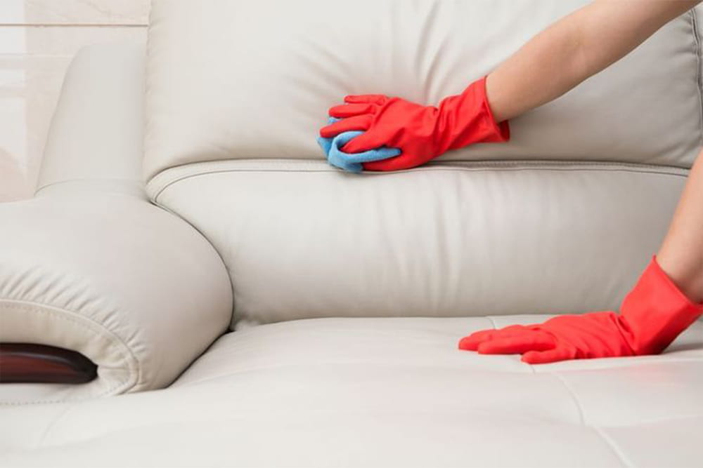 sofa cleaning6