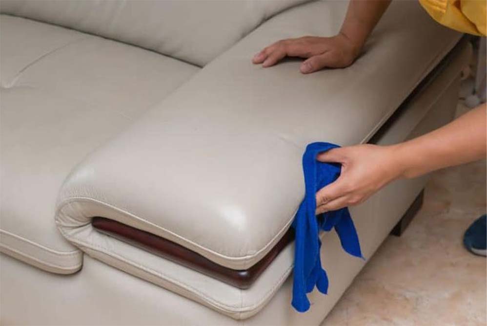 sofa cleaning7